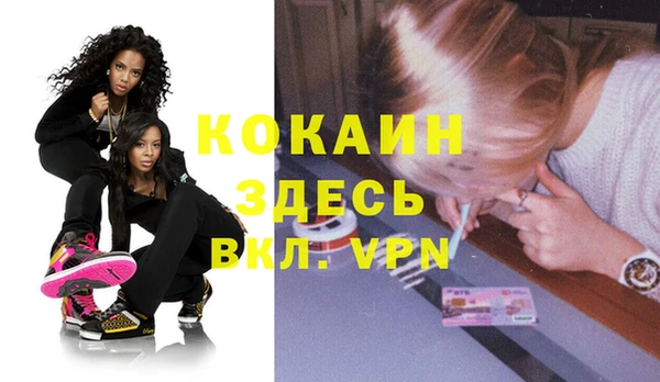 МДПВ Михайлов